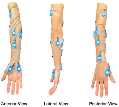 Inference of Upcoming Human Grasp Using EMG During Reach-to-Grasp Movement